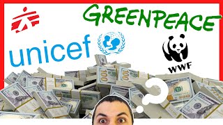 ♻️¿Cómo se FINANCIA (o reciben donaciones) una ONG?💲[Organización Sin Fines de Lucro] Curso Ong 003