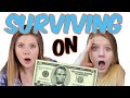 Surviving on $5 for 24 hours Challenge || Taylor & Vanessa