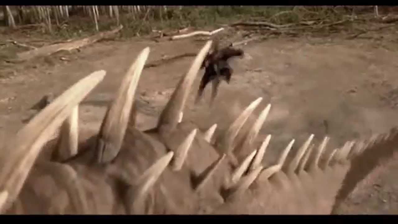 How to Train Your Dragon live action trailer (Dragonheart)