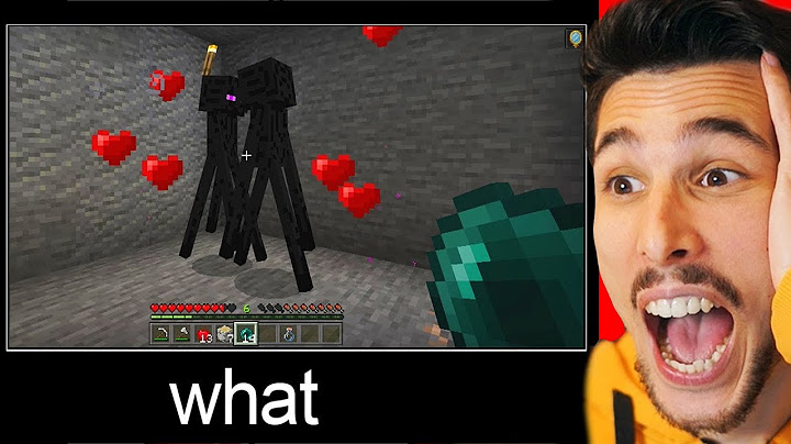 COSE CHE TI FARANNO DIRE IMPOSSIBILE su MINECRAFT!! (What meme)