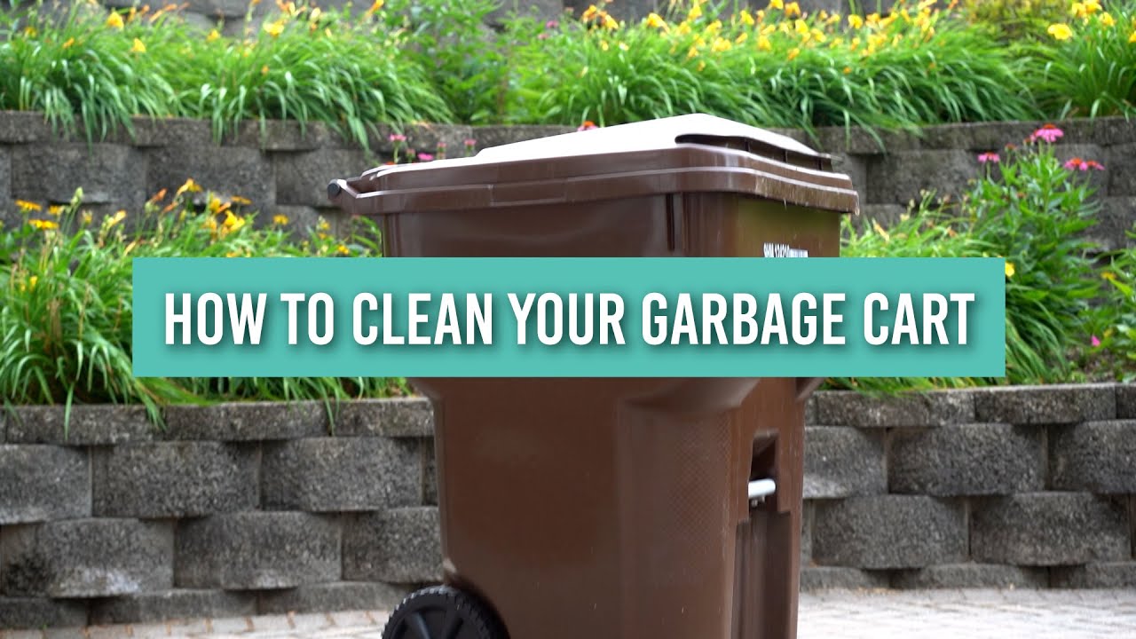 10 Ways to Keep Animals Out of Your Garbage