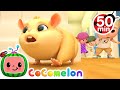 Lost Hamster Song + More Nursery Rhymes & Kids Songs - CoComelon