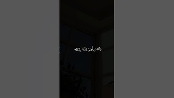تلاوة خاشعة للشيخ #ماهر_المعيقلي #قرآن #القرآن_الكريم