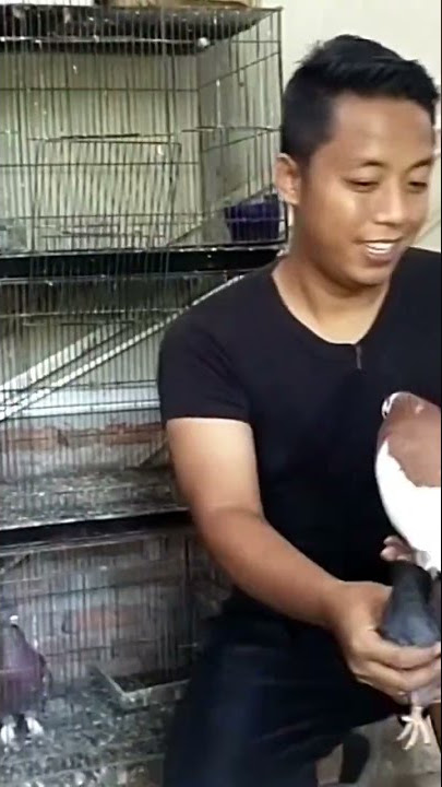 COBA GIRINGNYA RAMPOK