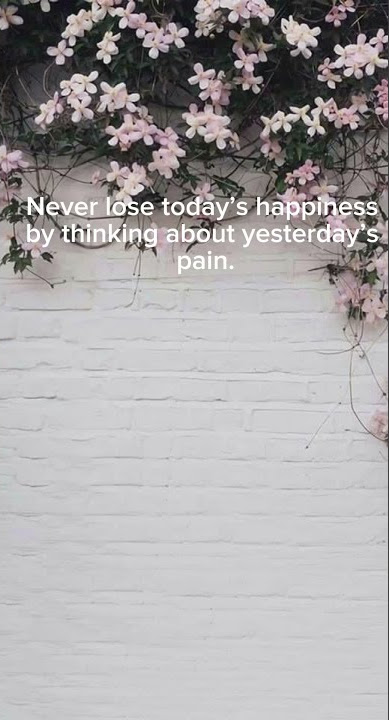 never lose today’s happiness by thinking about yesterday’s pain