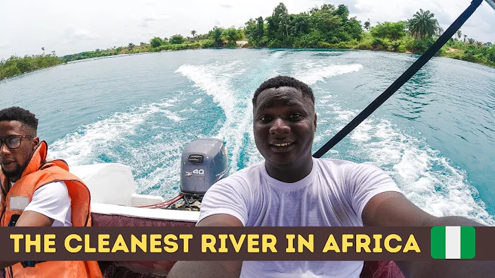 See The River That Flows From A Giant Tree In Africa - Nigeria #001