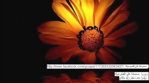 القارئ عماد المنصرى تلاوعه رائعه .wmv