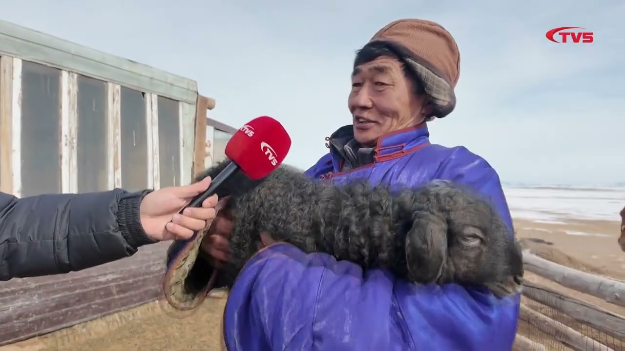 МАЛЧИН Б.ЖАРГАЛСАЙХАН: МАЛЧИН ХҮНИЙ ХАМГИЙН АЗ ЖАРГАЛТАЙ ЗАВГҮЙ ӨДРҮҮД ЭХЭЛЖ БАЙНА
