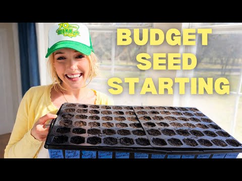 Starting Seeds on a Budget