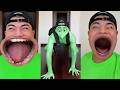 CRAZIEST Nonomen Funny TikTok Compilation | Try Not To Laugh Watching Cactus Dance Challenge 2026