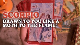 Download Lagu SCORPIO: THIS YOUNGER PERSON HAD A MAJOR REALIZATION ABOUT YOU THIS WEEKEND!(WATCH BY DECEMBER 31) MP3