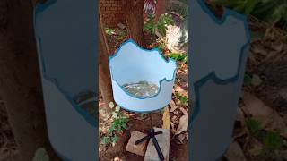 DIY Hanging Planter from Plastic Container 🌿♻️ | Waste Material Craft #shorts