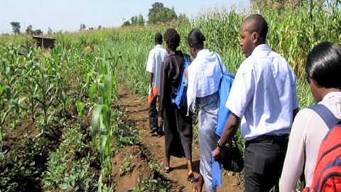 Computer Science & Engineering - UW Engineers Making a Difference