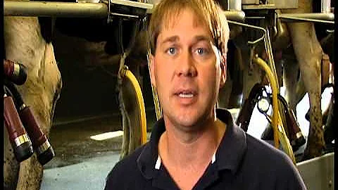 Dairy Farming FAQ - Why Farmers Use Antbiotics