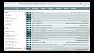 Famous Lesson6: Using the NiFi API Profile