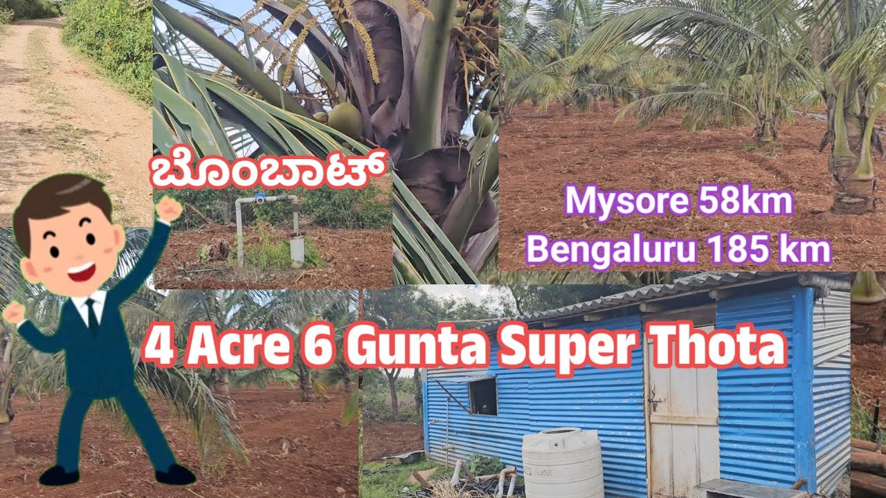 4 Acre Coconut Thota Land for sale 200 Coconut 2 Bore Mysore 58km Bengaluru 185 km Peaceful Location