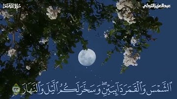 سورة إبراهيم آية ٣٣-٣٤ 🪐