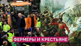 Фермеры и ошибки прошлого. Что общего у протестов сегодня с восстаниями крестьян в Европе