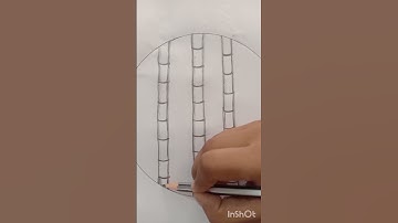 How to Draw bamboo tree🌲 Scenery ||Easy pencil sketch Drawing #Youtube#Shorts video