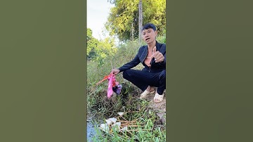 Tặng 100 Chiếc Ghe Bobo Thái Siêu Lướt Cho Các Bạn Đăng Ký Kênh #shortvideo #shorts #challenge