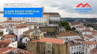 🟠 Coimbra é linda vista de um pássaro