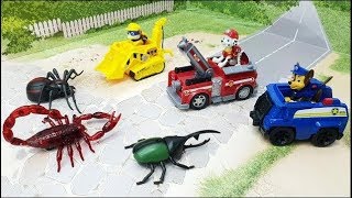 Мультики с игрушками про машинки все серии подряд онлайн! Игрушечные видео для детей.