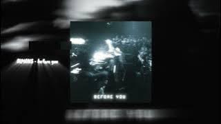 DIPIENS - before you