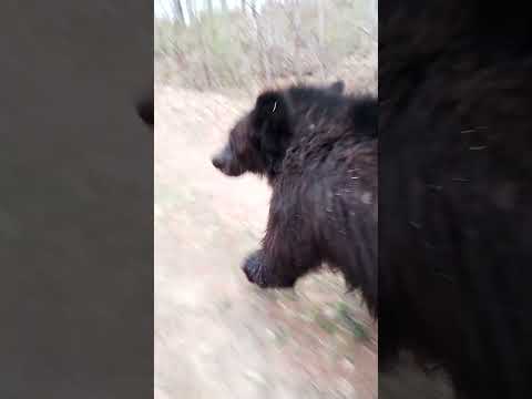 Под крышу дома