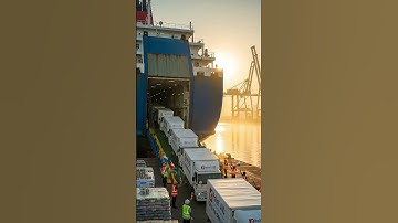 Witness the incredible scale of modern #shorts #cargoship #logistics #bigship #trending #supplychain