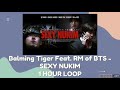 Balming Tiger Feat. RM of BTS - Sexy Nukim [1 hour loop - 1시간 가사]