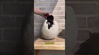 Подпишись, чтобы не потерять! Вазы из цемента своими руками