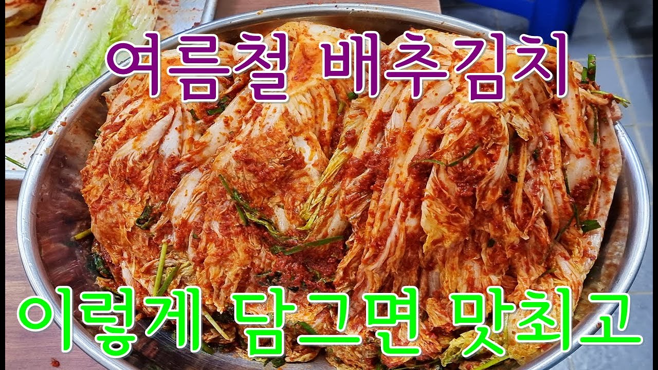 💜배추김치💜여름철 배추김치는 이렇게 담아야 맛이 최고 맛있어요 손질부터 황금레시피까지 - YouTube