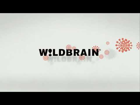 Wildbrain Nickelodeon 2008 