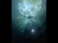 異世界にワープした気分になる縦穴式のセノーテの浮上【サポテ】Warp to another world, the emergence of a vertical cenote [Zapote]