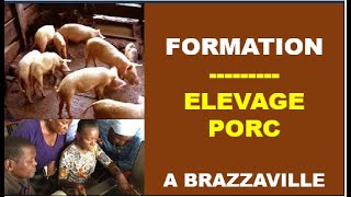 Formation sur l'Elevage des Porcs à Brazzaville