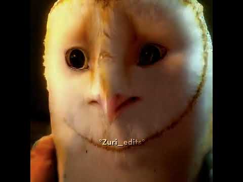 Legend of the guardians: The Owls of Gau0027hoole | edit | #shorts #fyp #foryou #edit