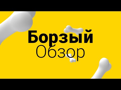 Видео: Beeline руу дуудлага дамжуулах тохиргоог хэрхэн хийх вэ