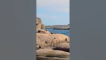 حالات واتس من السويد الشامي بتهون اكسبلور حالات 