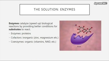BIO 205 Chapter 8 Part I Microbial Metabolism