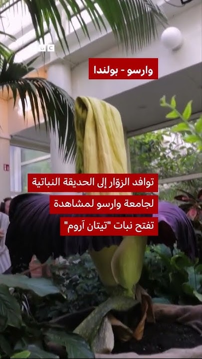  --       
 - نشر قبل 14 دقيقة