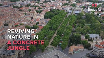 This engineer is building eco-cities with the Internet of Nature | Beautiful News