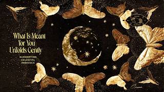 What Is Meant for You Unfolds Gently | Summertime Cosmic Ambience
