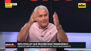 Reflotan viejo proyecto para prohibir biotecnología en cultivos de maíz