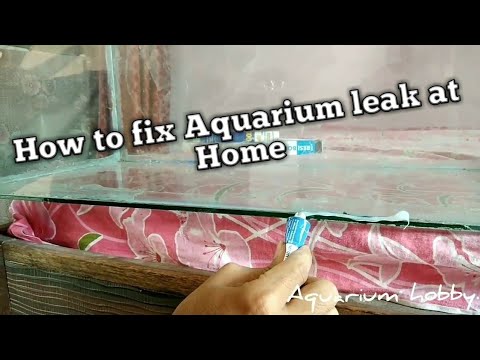 Come riparare una perdita nell'acquario (con la silicone)
