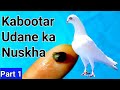 Kabootar udane ka nuskha  kabutaro k nukse  kabootaro ki dawai part 1