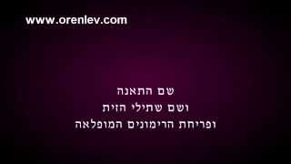 Video voorbeeld van "אל בורות המים - נעמי שמר - פלייבק קריוקי"