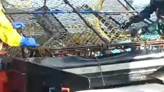 Лов камчатского краба в Беринговом море Лов камчатского краба в Беринговом море