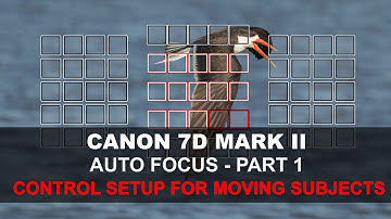 Canon 7D Mark II Auto Focus - Part 1/5: Control Setup for Moving Subjects