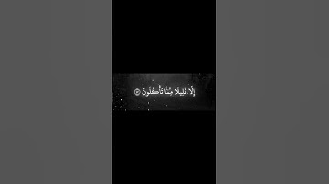 سورة يوسف الاية 46 | القارئ محمد اللحيدان🖤🤍