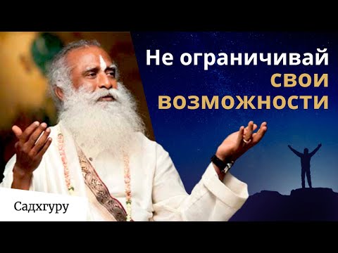 Как жить на пике своих возможностей?